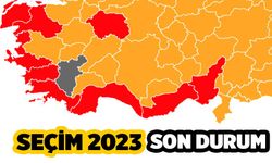 Denizli Seçim Sonuçları, Oyların Tamamı Sayıldı