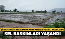 Şiddetli yağışın ardından kent merkezi ve ekili arazilerde sel baskınları yaşandı