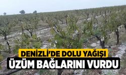 Denizli'de Dolu Yağışı Üzüm Bağlarını vurdu