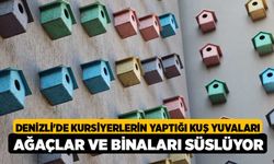 Denizli'de kursiyerlerin yaptığı kuş yuvaları ağaçlar ve binaları süslüyor