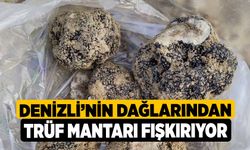 Denizli'nin Dağlarından Trüf Mantarı Fışkırıyor