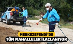 Merkezefendi’de Tüm Mahalleler İlaçlanıyor