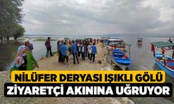 Nilüfer deryası Işıklı Gölü ziyaretçi akınına uğruyor