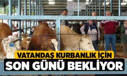 Vatandaş kurbanlık için son günü bekliyor