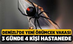 Denizli'de 3 Günde 4 Kişi Örümcek Isırmasından Hastaneye Yattı