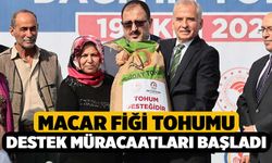 Büyükşehir’den 17 ilçeye 133 ton Macar fiği tohumu desteği