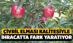 Çivril Elması Kalitesiyle İhracatta Fark Yaratıyor