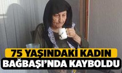 Denizli'de 75 Yaşındaki Kadın Bağbaşında Kayboldu