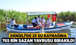 Denizli’de 25 su kaynağına 765 bin sazan yavrusu bırakıldı