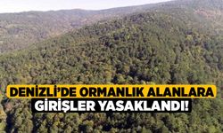 Denizli’de ormanlık alanlara girişler yasaklandı!