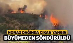 Honaz Dağında çıkan yangın büyümeden söndürüldü