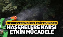 Merkezefendi Belediyesi’nden Haşerelere Karşı Etkin Mücadele