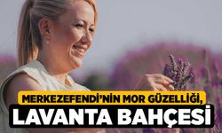 Merkezefendi’nin Mor Güzelliği, Lavanta Bahçesi