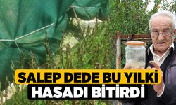 Salep Dede bu yılki hasadı bitirdi