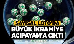 Sayısal Loto'da Büyük İkramiye Acıpayam'a Çıktı