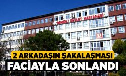 2 arkadaşın şakalaşması faciayla sonlandı