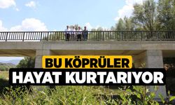 Bu köprüler hayat kurtarıyor