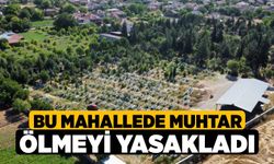 Bu Mahallede Muhtar Ölmeyi Yasakladı