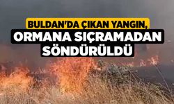 Buldan'da çıkan yangın, ormana sıçramadan söndürüldü