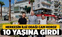 Herkesin İlgi Odağı Cam Horoz 10 Yaşında