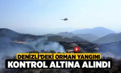 Denizli’deki çıkan orman yangını kontrol altına alındı