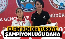 Elfin’den bir Türkiye Şampiyonluğu daha