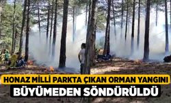 Honaz Milli parkta çıkan orman yangını büyümeden söndürüldü