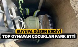 Kuyuya düşen kediyi top oynayan çocuklar fark etti