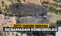 Örtü yangını ormana sıçramadan söndürüldü