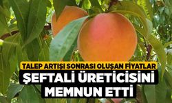 Talep artışı sonrası oluşan fiyatlar şeftali üreticisini memnun etti