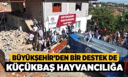 Büyükşehir’den bir destek de küçükbaş hayvancılığa 