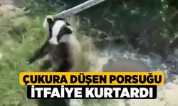 Çukura Düşen Porsuğu İtfaiye Kurtardı