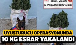 Denizli'de Uyuşturucu Operasyonu, 10 kilo esrar yakalandı