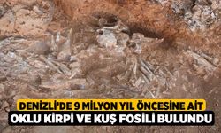 Denizli’de 9 milyon yıl öncesine ait oklu kirpi ve kuş fosili bulundu