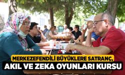 Merkezefendili Büyüklere Satranç, Akıl Ve Zeka Oyunları Kursu