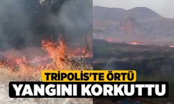 Tripolis'te örtü yangını korkuttu