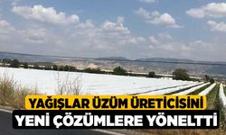 Yağışlar üzüm üreticisini yeni çözümlere yöneltti