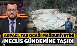 Arpacı, Taş Ocağı Mağduriyetini Meclis Gündemine Taşıdı