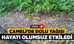 Çameli'de dolu yağışı hayatı olumsuz etkiledi