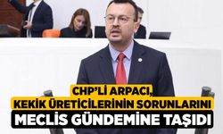 CHP’li Arpacı, Kekik Üreticilerinin Sorunlarını Meclis Gündemine Taşıdı