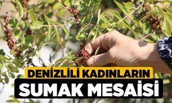 Denizlili Kadınların Sumak Mesaisi