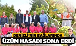 Denizli’nin bağlarında üzüm hasadı sona erdi