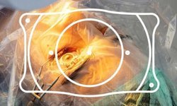 Sarı nokta hastalığı neden oluşur?