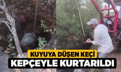 Kuyuya düşen keçi kepçeyle kurtarıldı