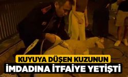 Kuyuya düşen kuzunun imdadına itfaiye yetişti