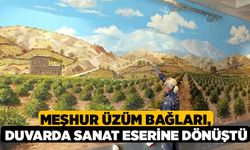 Meşhur üzüm bağları, duvarda sanat eserine dönüştü