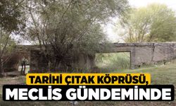 Tarihi Çıtak Köprüsü, Meclis gündeminde