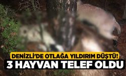 Denizli'de Otlağa Yıldırım Düştü! 3 Hayvan Telef Oldu