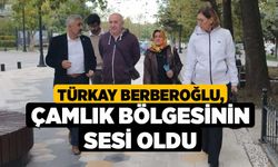 Türkay Berberoğlu, Çamlık Bölgesinin Sesi Oldu