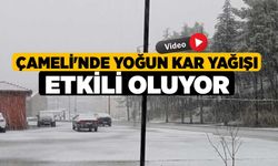 Çameli'nde yoğun kar yağışı etkili oluyor